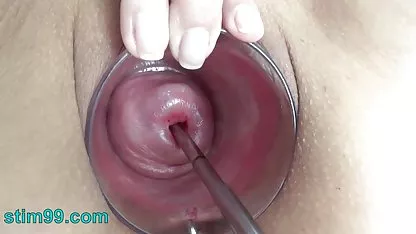 Apakah indo tante xxx anda gila.