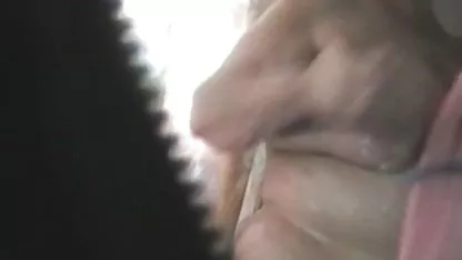 Chandler, video tante indo xxx sapi, keledai, anal, stoking